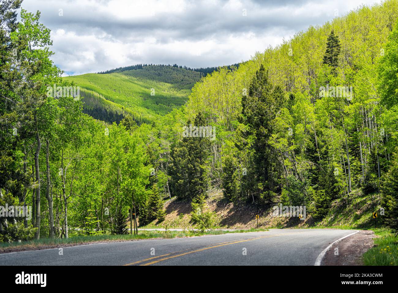 Santa Fe National Forest Park in den Bergen von Sangre de Cristo mit grünen Espenbäumen im Frühjahr oder Sommer durch kurvenreiche Straße abbiegen Stockfoto