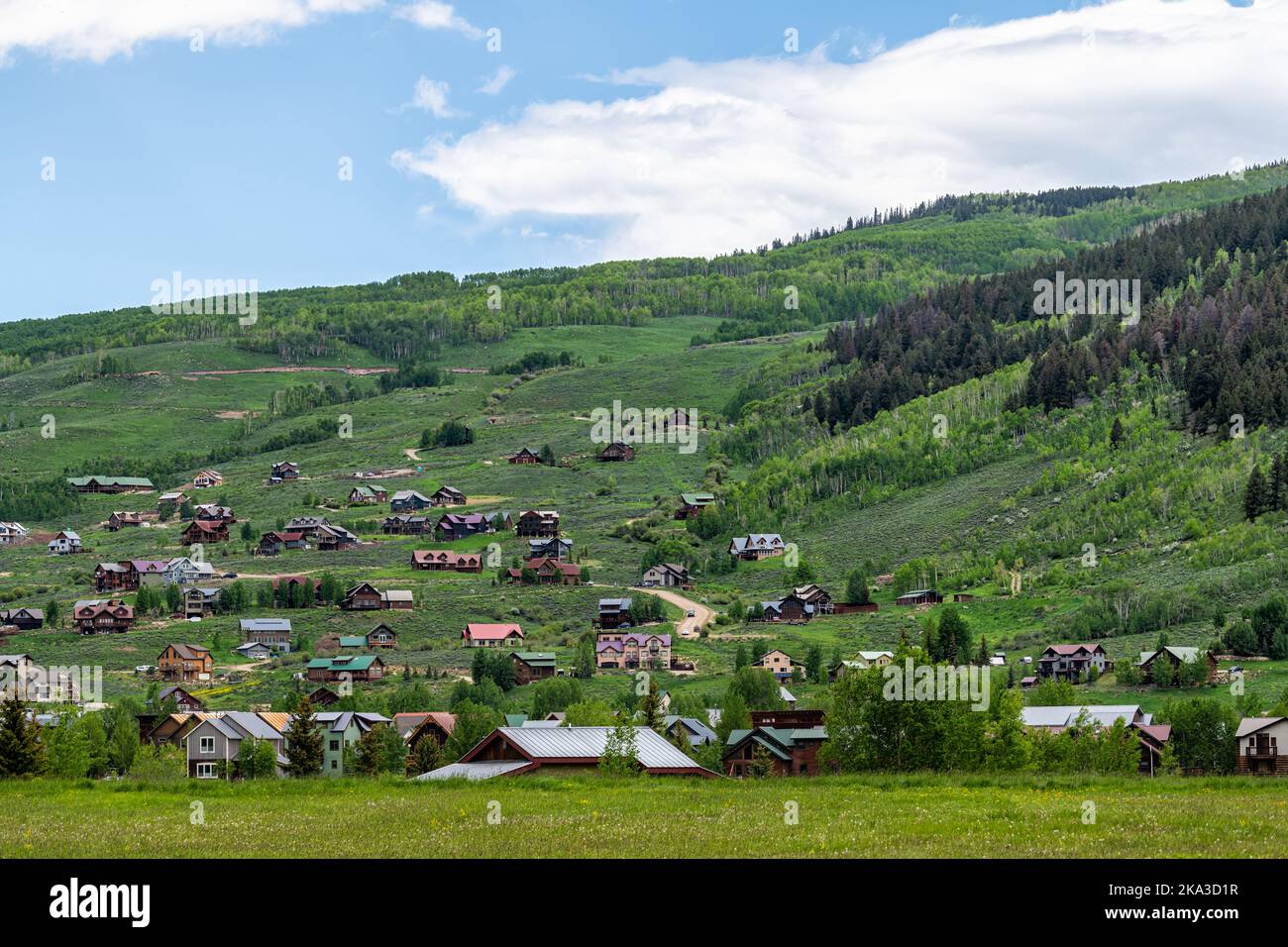 Mount Crested Butte Dorf Stadthäuser im Sommer mit vielen hölzernen Unterkünften Gebäude auf Hügel mit grünen üppigen Farben Gras Stockfoto