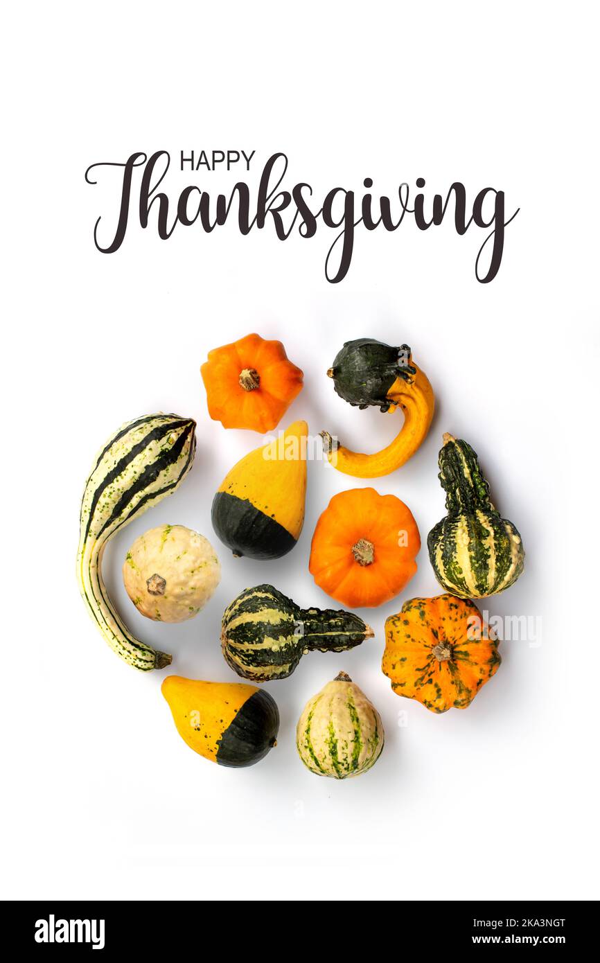Happy Thanksgiving Karte, Sammlung von Kürbissen isoliert auf weißem Hintergrund Stockfoto