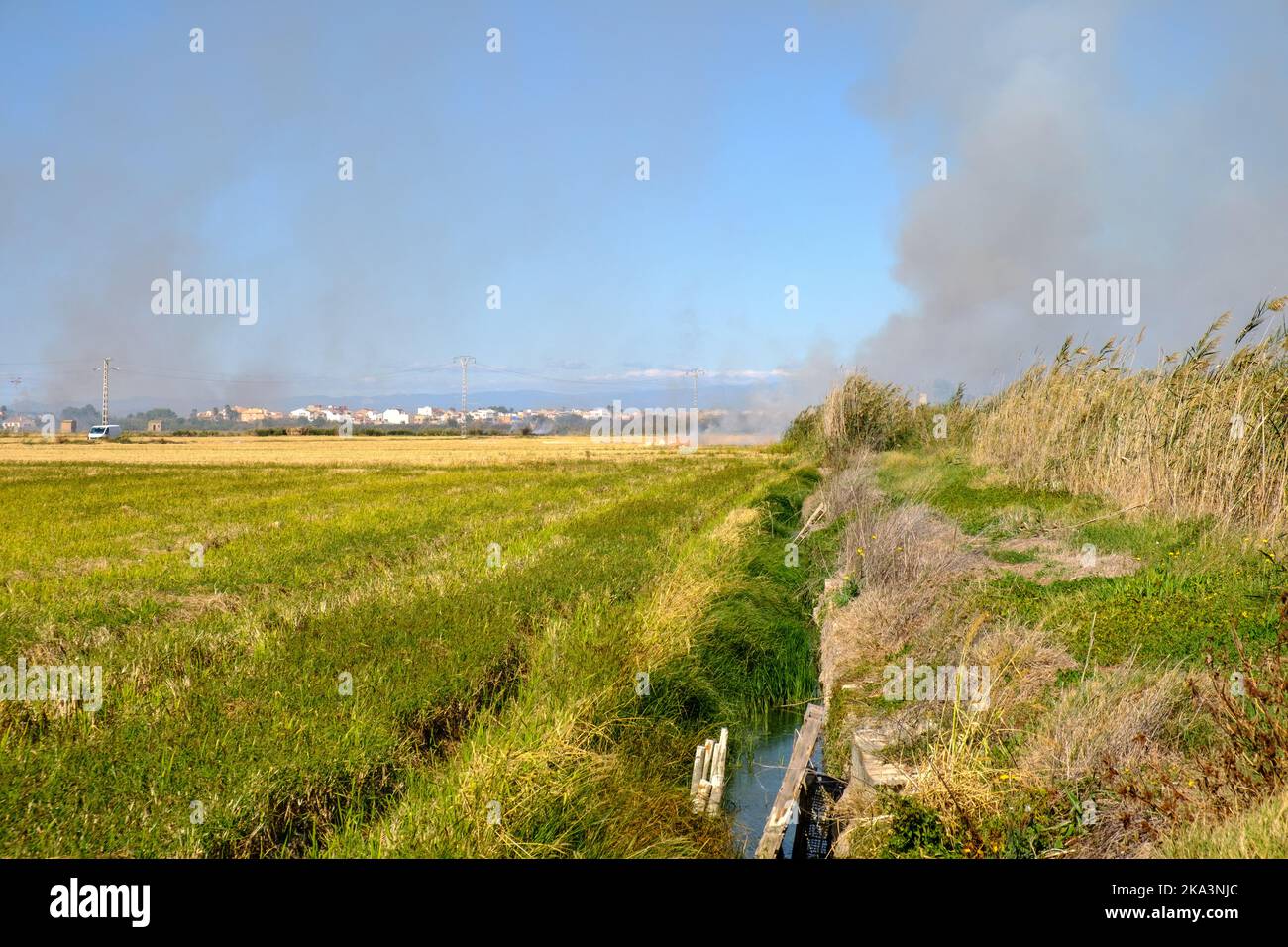 Brennen von Reisstoppeln brennendes Stroh in Reisbauern in Albufera Valencia Spanien, Umweltverschmutzung Umweltproblem, dunkle Himmelswolken Stockfoto