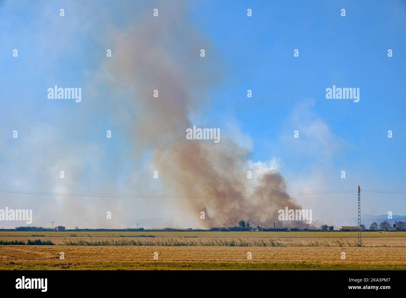 Brennender Stoppelstroh aus Reis, Umweltverschmutzung, Smog-Wolken in Albufera de Valencia, Spanien Stockfoto