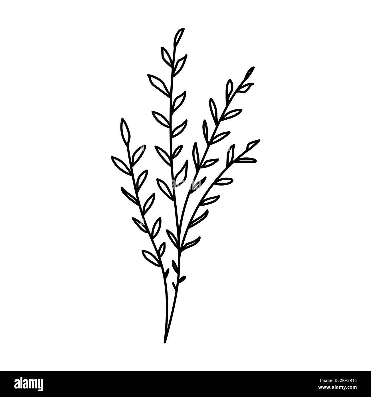Illustration einer Blume, Silhouette eines Zweiges mit Blumen und Blättern. Vektorgrafik. Blumendruck Stock Vektor