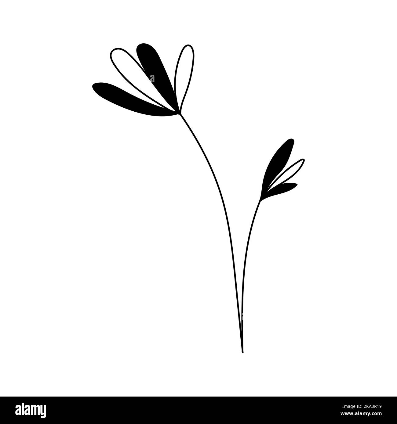 Illustration einer Blume, Silhouette eines Zweiges mit Blumen und Blättern. Vektorgrafik. Blumendruck Stock Vektor
