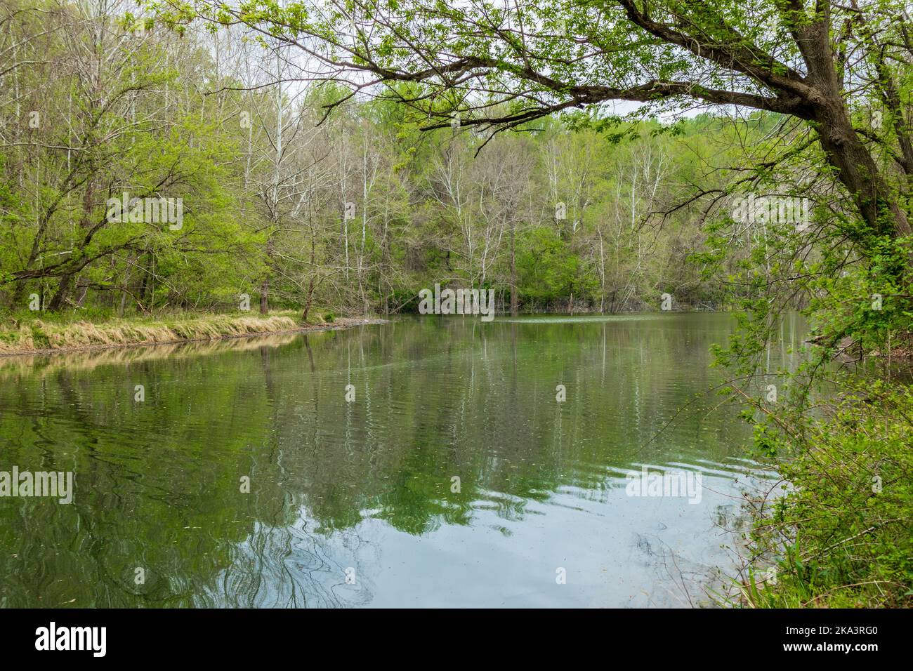 Ein wunderschöner See, umgeben von Grün im Patapsco State Valley Park in Baltimore, Maryland Stockfoto