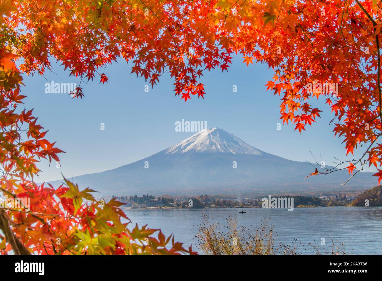 Blick auf den Berg Fuji durch rote herbstliche Ahornblätter, Präfektur Yamanashi Honshu, Japan Stockfoto