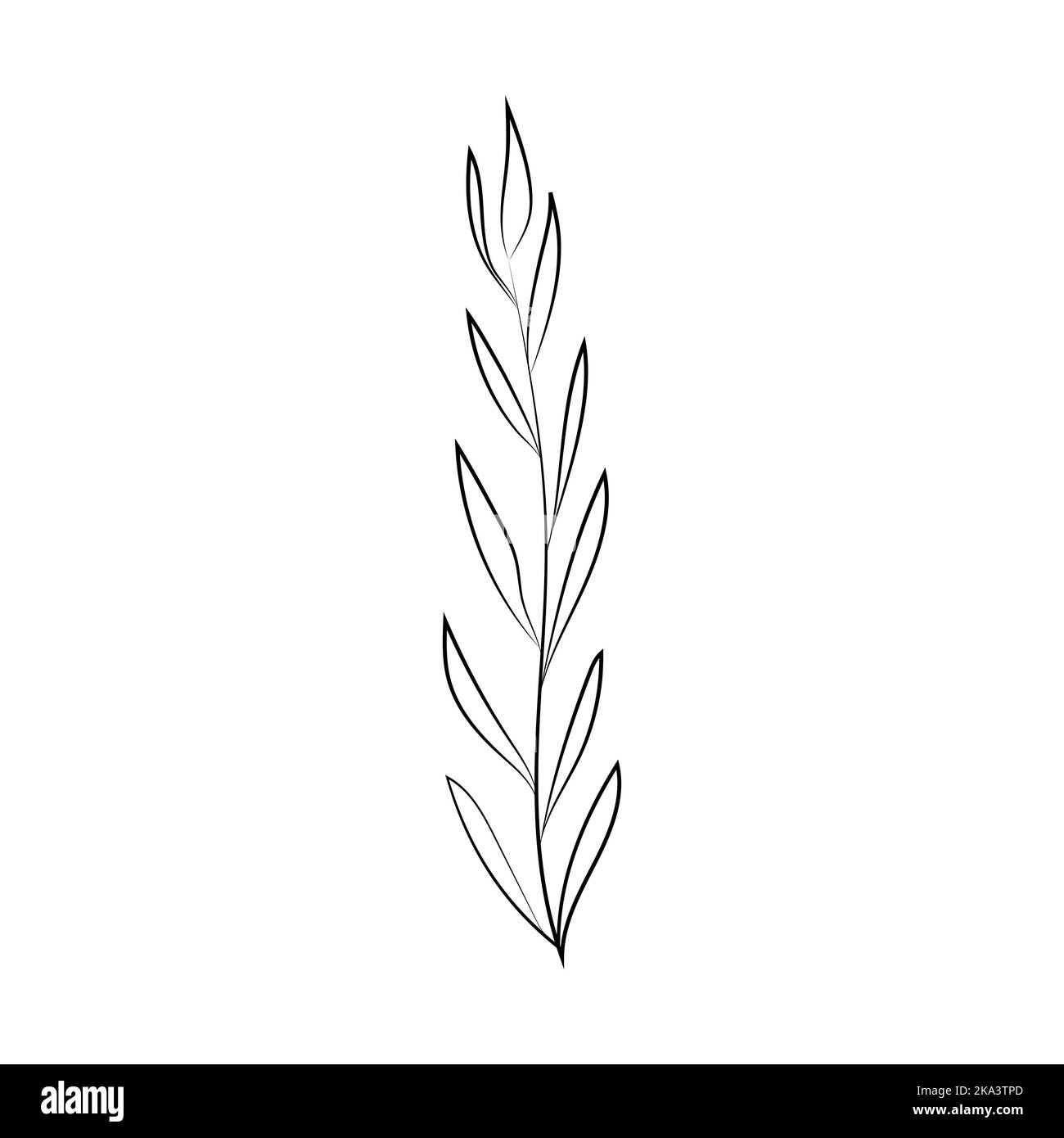 Illustration einer Blume, Silhouette eines Zweiges mit Blumen und Blättern. Vektorgrafik. Blumendruck Stock Vektor