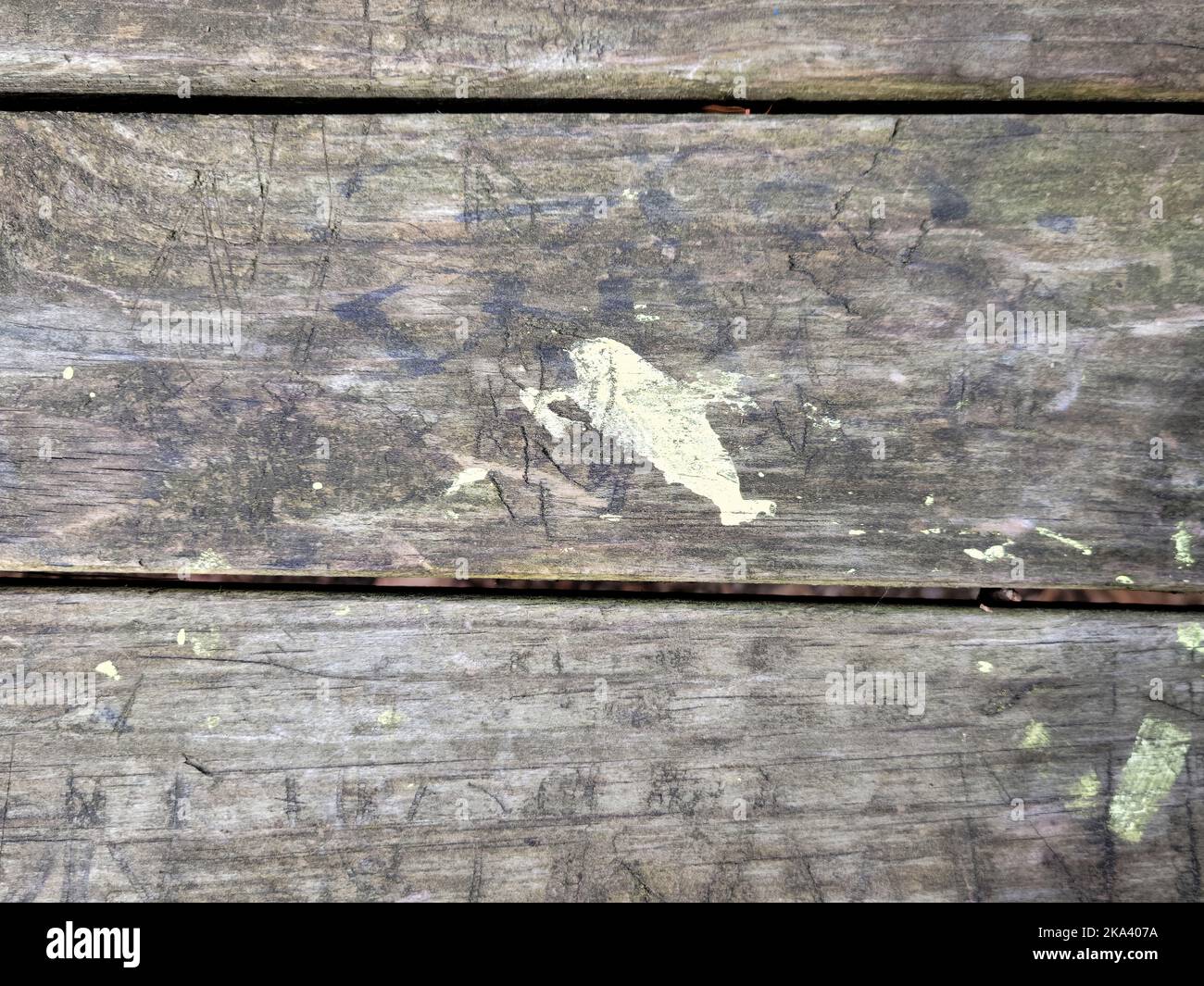 Grungige Farbflecke auf grau verwittertem Holz Stockfoto