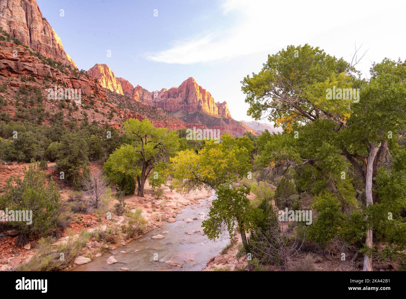 Zion Nationalpark, Utah Stockfoto