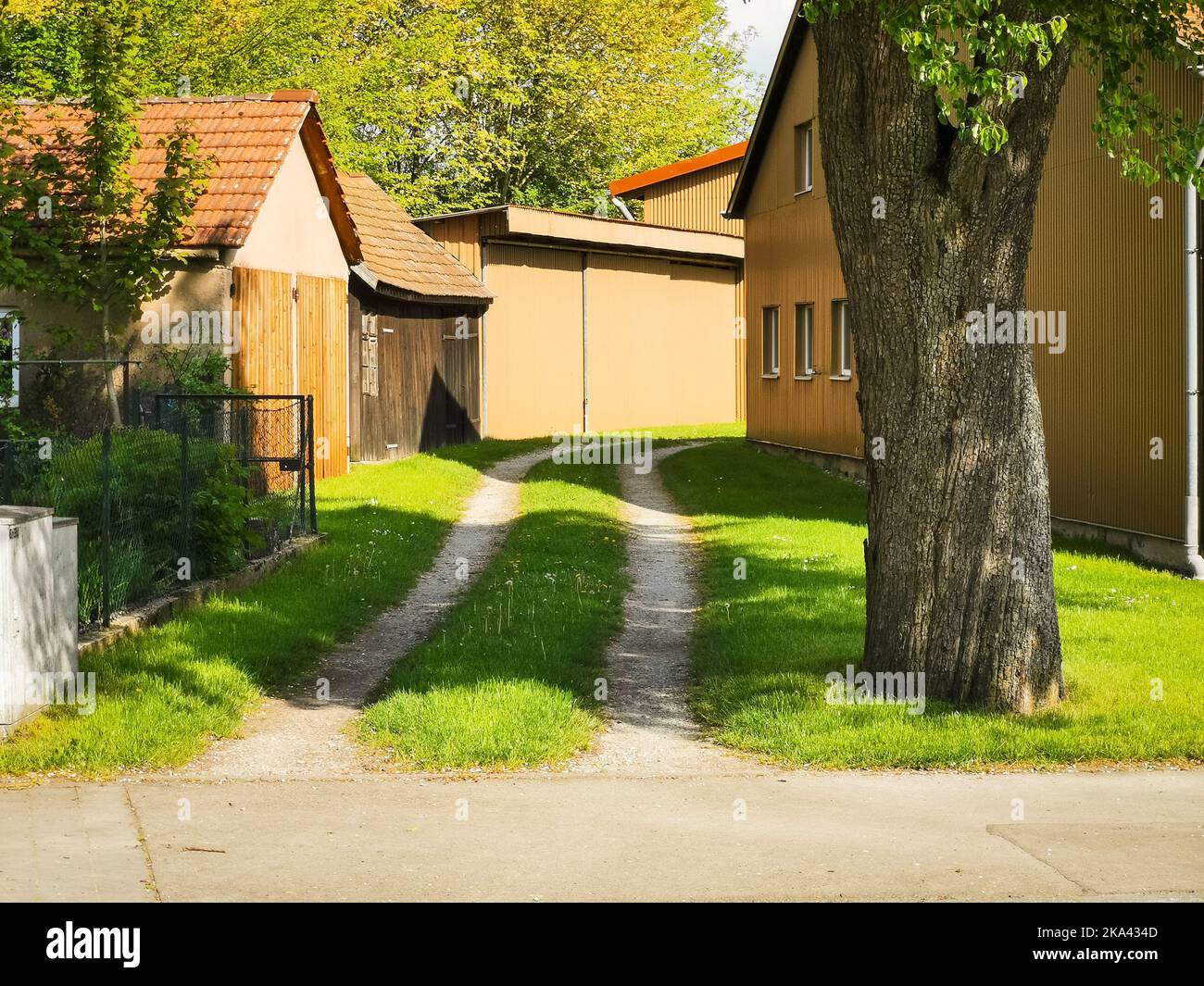 Deutscher Bauernhof und Scheune Auffahrt mit Gras und Kirschbaum in Sonnenschein Stockfoto