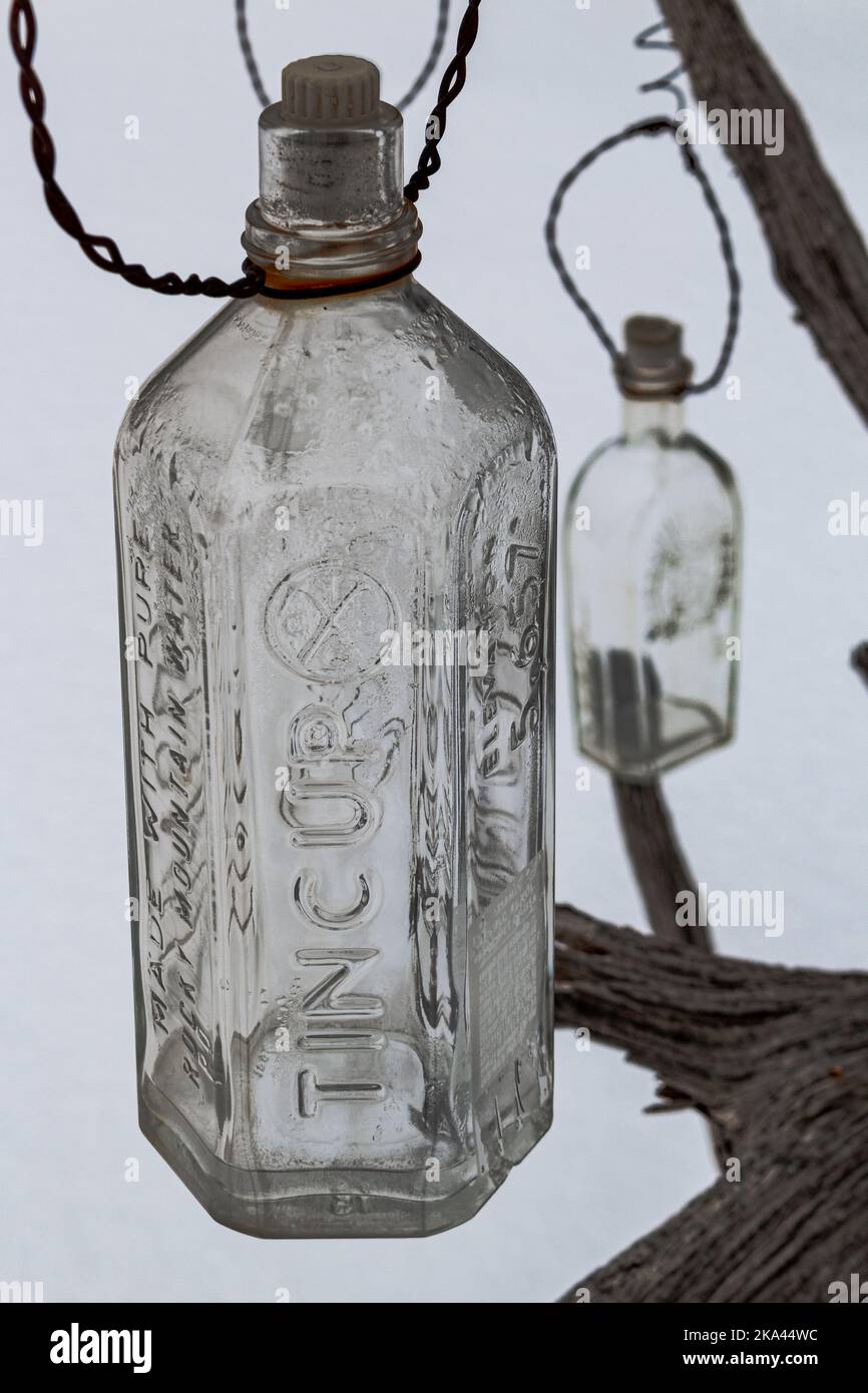Gebrauchte, leere Flaschen Tincup Whiskey hängen an einem Baum, der mit Flaschen geschmückt ist. Stockfoto