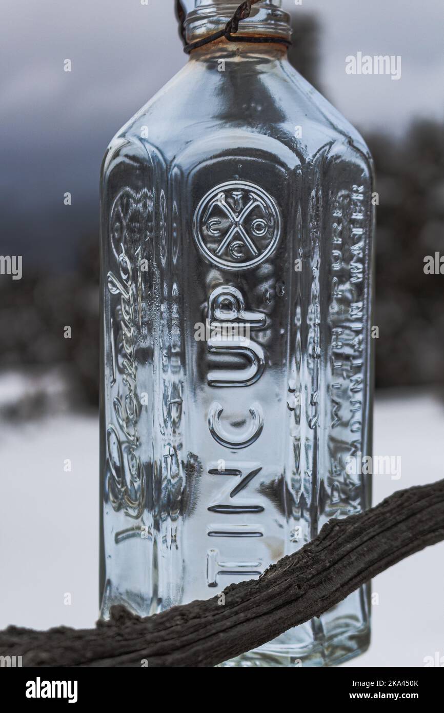 Gebrauchte, leere Flaschen Tincup Whiskey hängen an einem Baum, der mit Flaschen geschmückt ist. Stockfoto