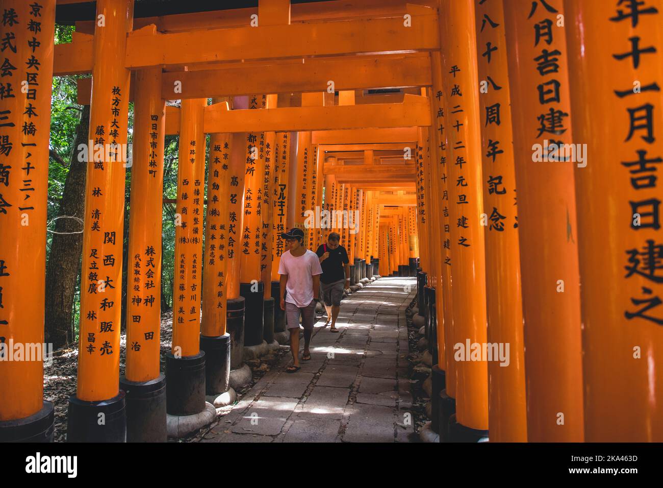 Das rote Torii-Tor im Fushimi Inari Taisha-Schrein ist das berühmte Wahrzeichen von Kyoto, Japan Stockfoto