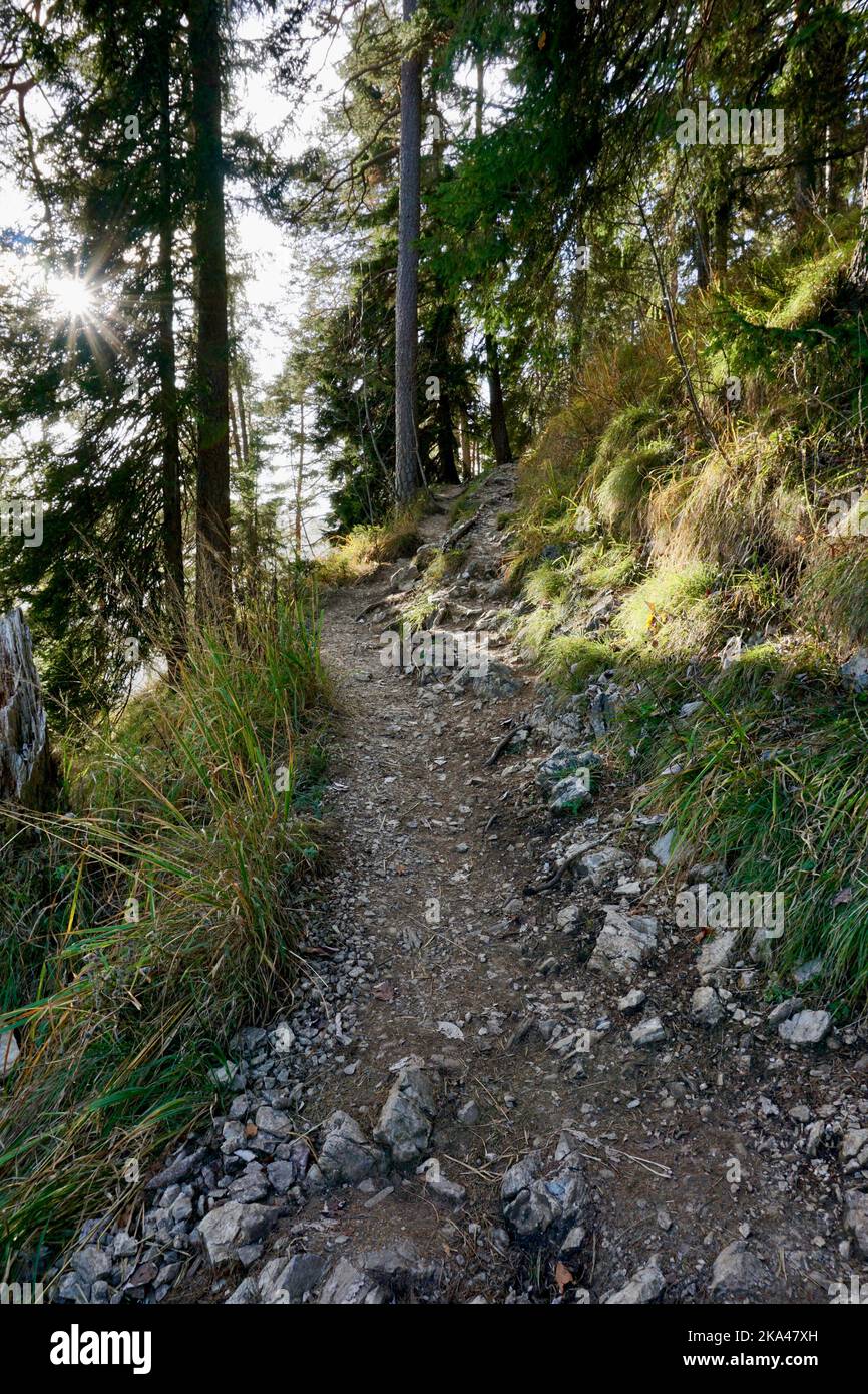 Wandern, Weg zum Berg Herzogstand, Walchensee, Deutschland Stockfoto