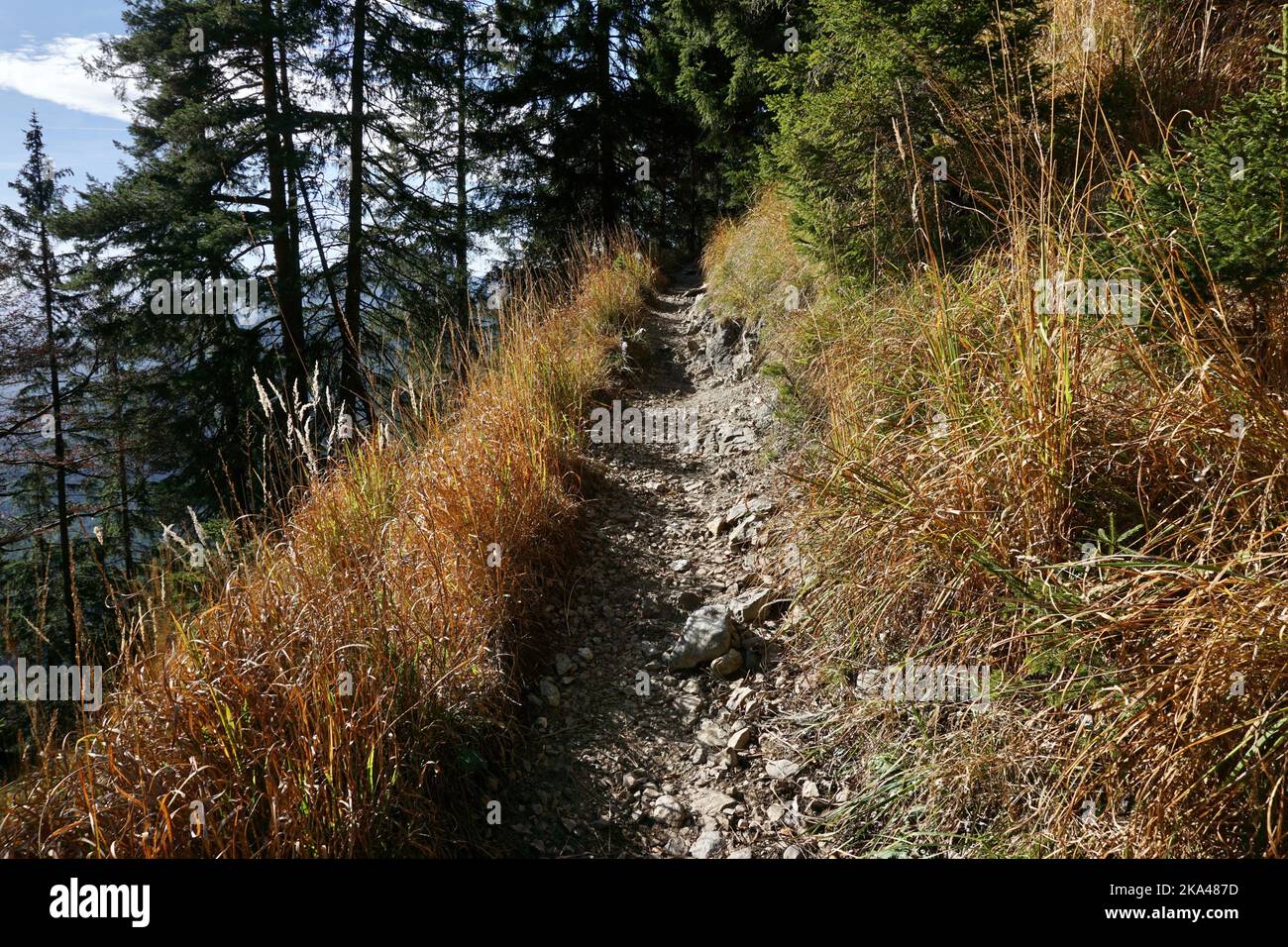 Wandern, Weg zum Berg Herzogstand, Walchensee, Deutschland Stockfoto
