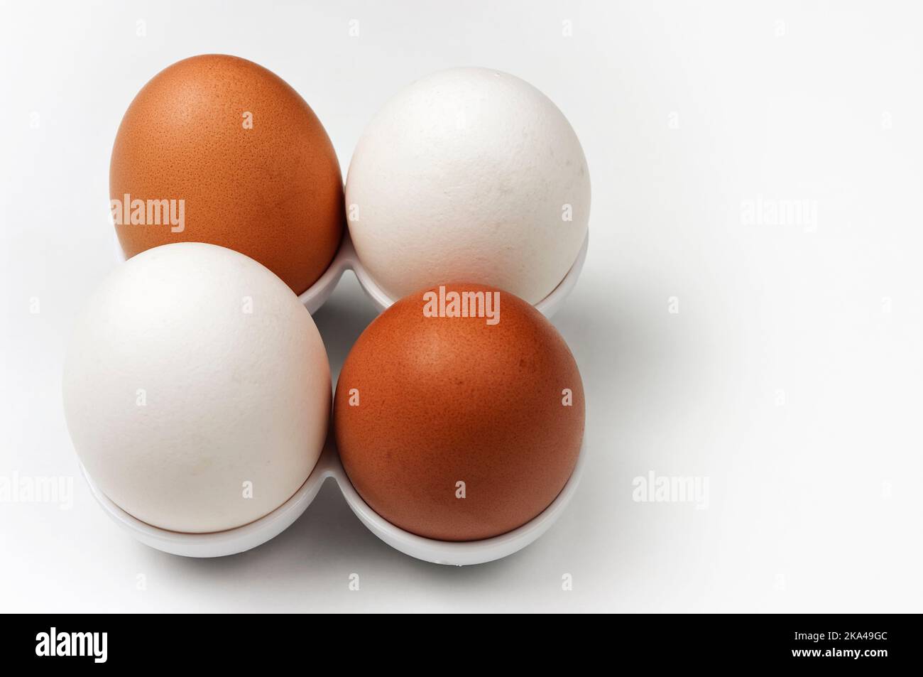 Zwei weiße und zwei braune Bio-Eier von Freilandhühnern. Stockfoto