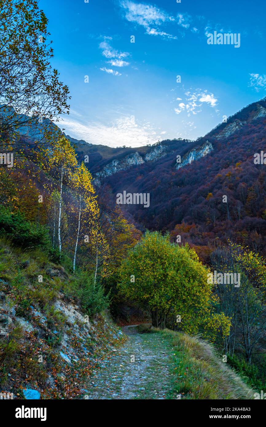 Herbst im Gesso-Tal: Farbenpracht, Gipfel, Seen, Wasserfälle und alpine Flora Stockfoto