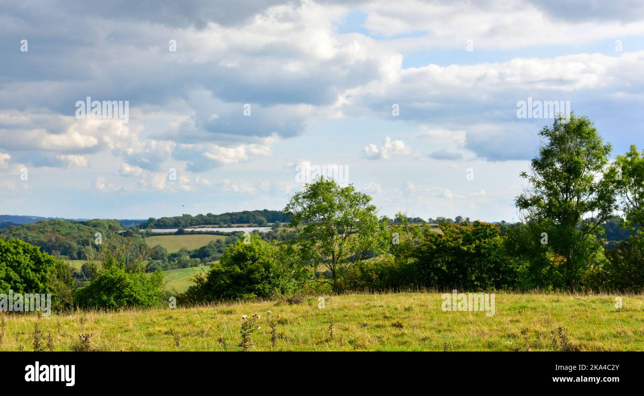 Bäume, Felder, Landschaft von Somerset in der Nähe von Clutton, England, Großbritannien Stockfoto