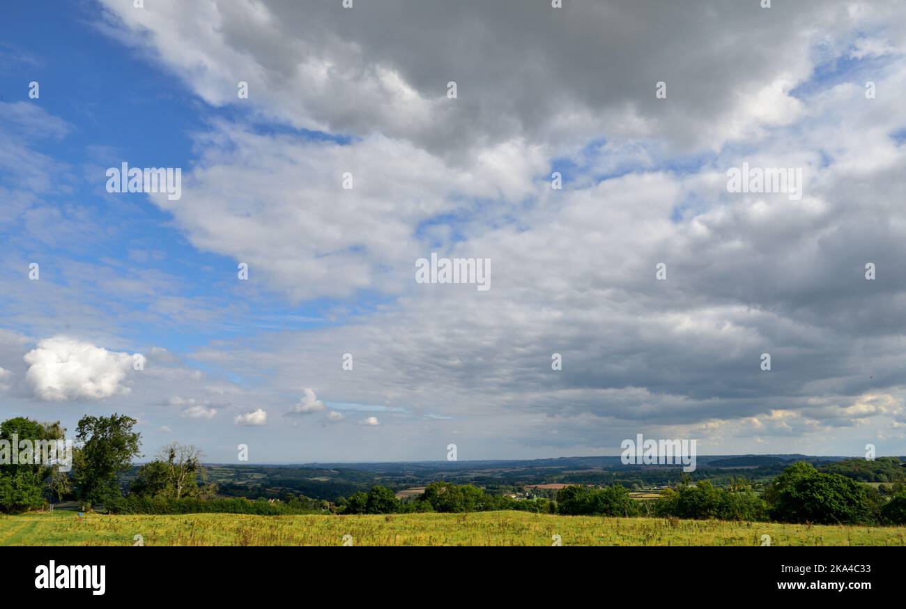 Bäume, Felder, Landschaft von Somerset in der Nähe von Clutton, England, Großbritannien Stockfoto