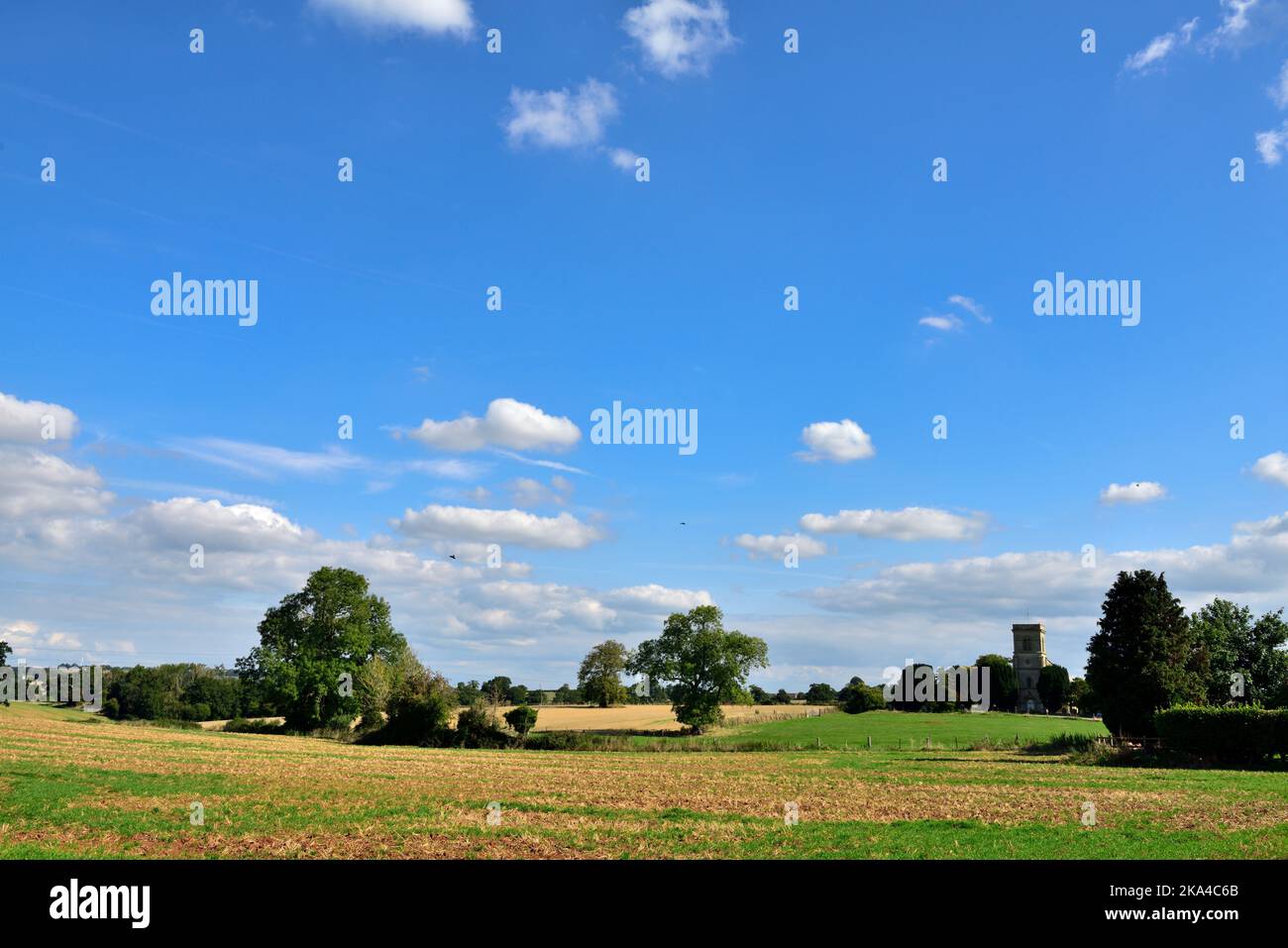 Bäume, Felder der flachen Landschaft von Somerset in der Nähe von Farrington Gurney mit Kirche im Hintergrund, England, Großbritannien Stockfoto