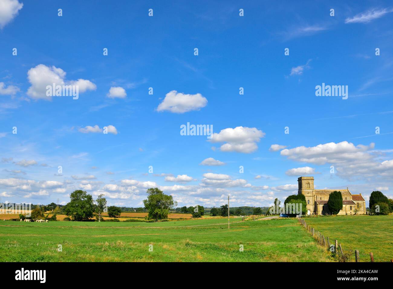 Bäume, Felder der flachen Landschaft von Somerset in der Nähe von Farrington Gurney mit Kirche im Hintergrund, England, Großbritannien Stockfoto