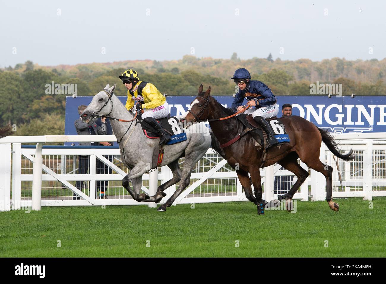 Ascot, Bergen, Großbritannien. 29.. Oktober 2022. Pferd (Nr. 8) Gumball von Paddy Brennan und Pferd Frero Banbou von Jockey Charlie Deutsch in der Byrne Group Handicap Steeple Chase auf der Ascot Racecourse. Quelle: Maureen McLean/Alamy Stockfoto