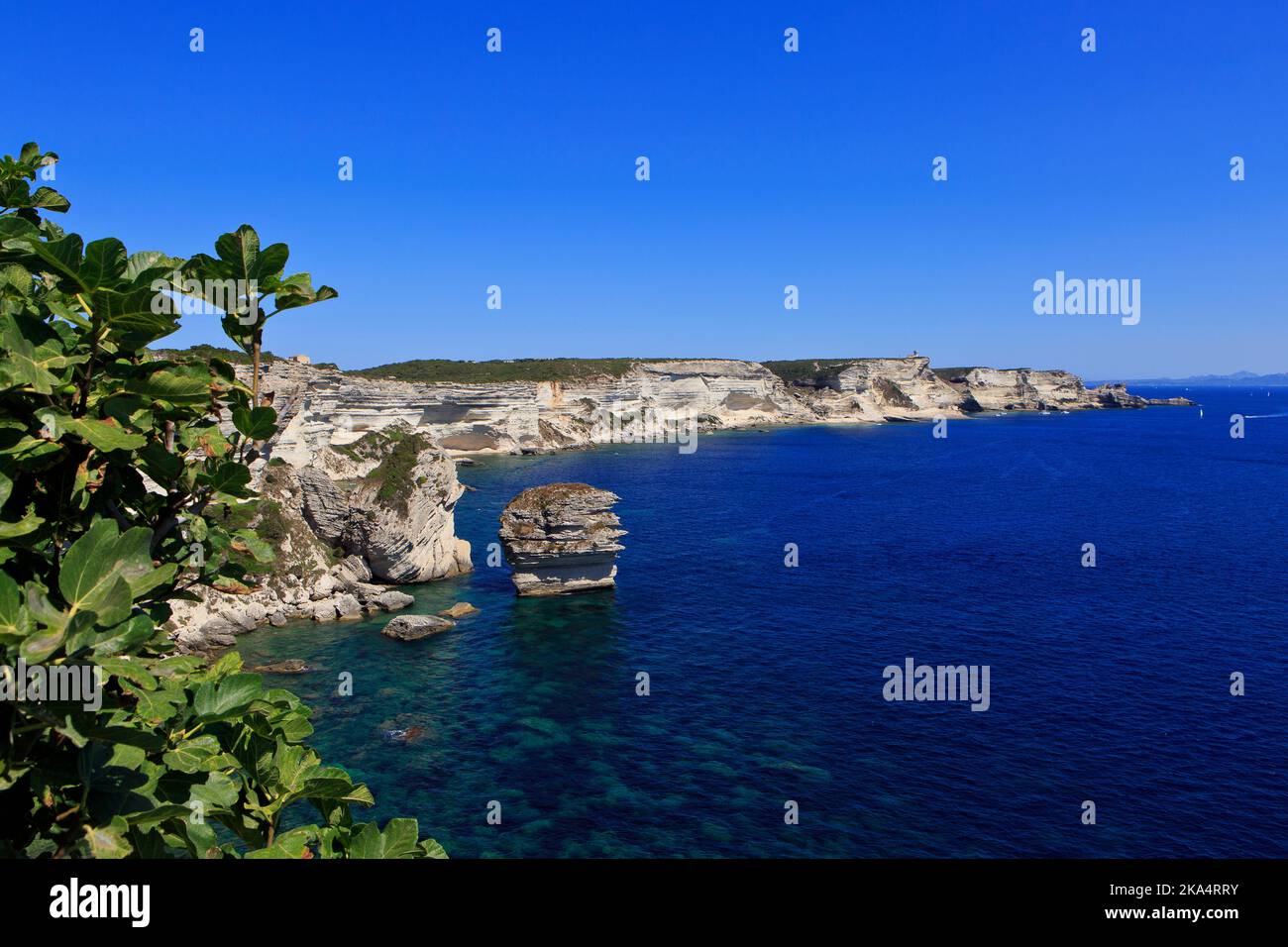 Panoramablick über den Sandkorn und die beeindruckenden Klippen vor den Toren Bonifacio (Corse-du-Sud) auf der Insel Korsika, Frankreich Stockfoto