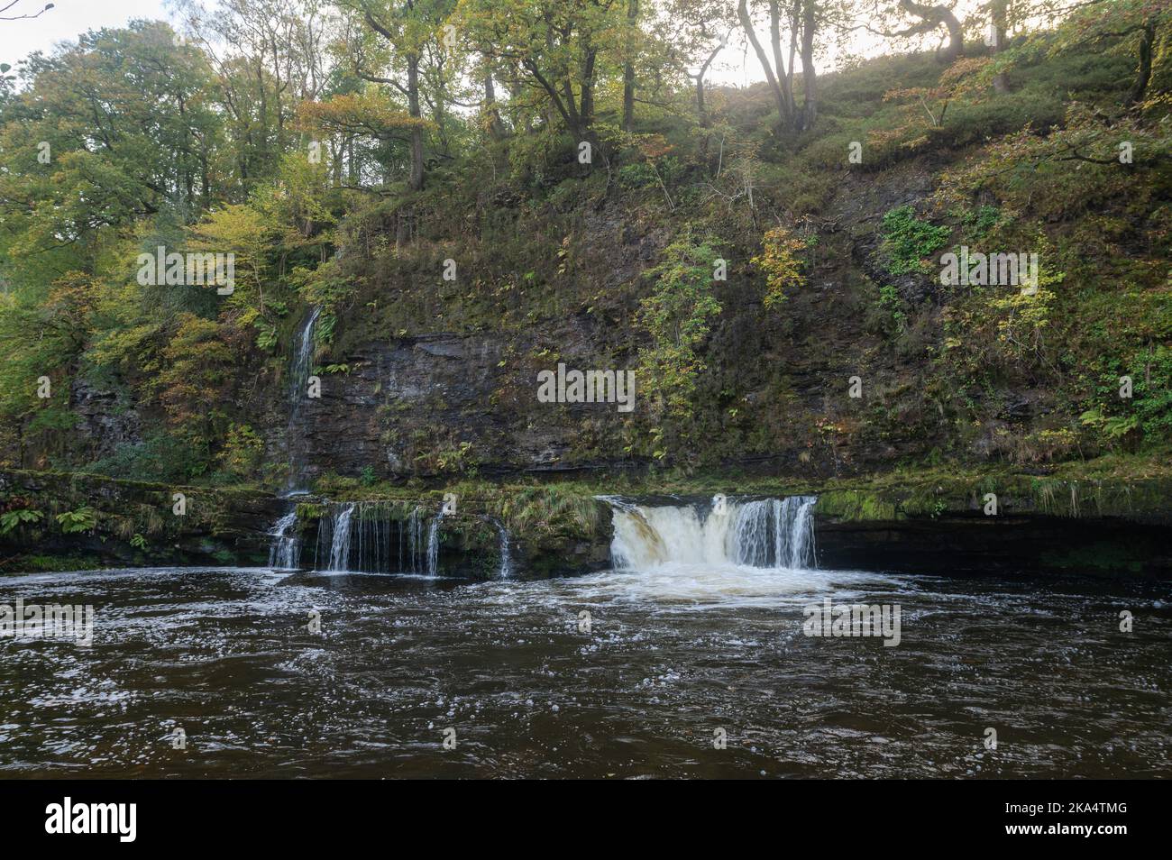Wasserfall auf dem Fluss Tawe, über den Salmoniden springen können. Im Brecon Beacons National Park, Wales, Großbritannien Stockfoto