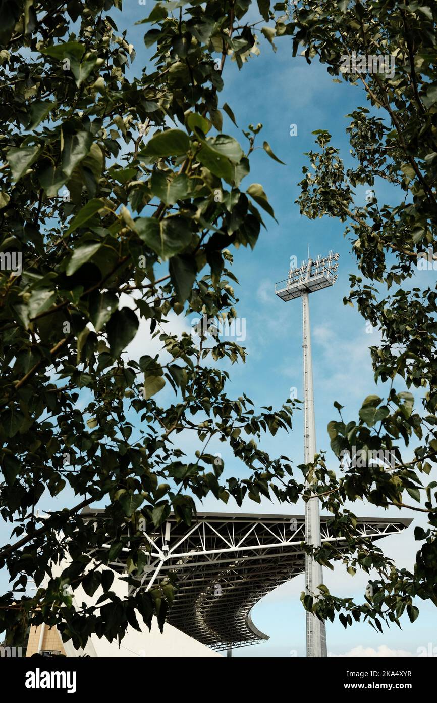 Modernes Stadion mit Flutlicht über Bäumen Stockfoto