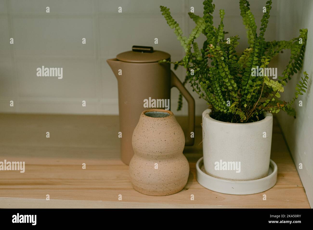 Neutrale Inneneinrichtung mit Vasen und Pflanzen Stockfoto
