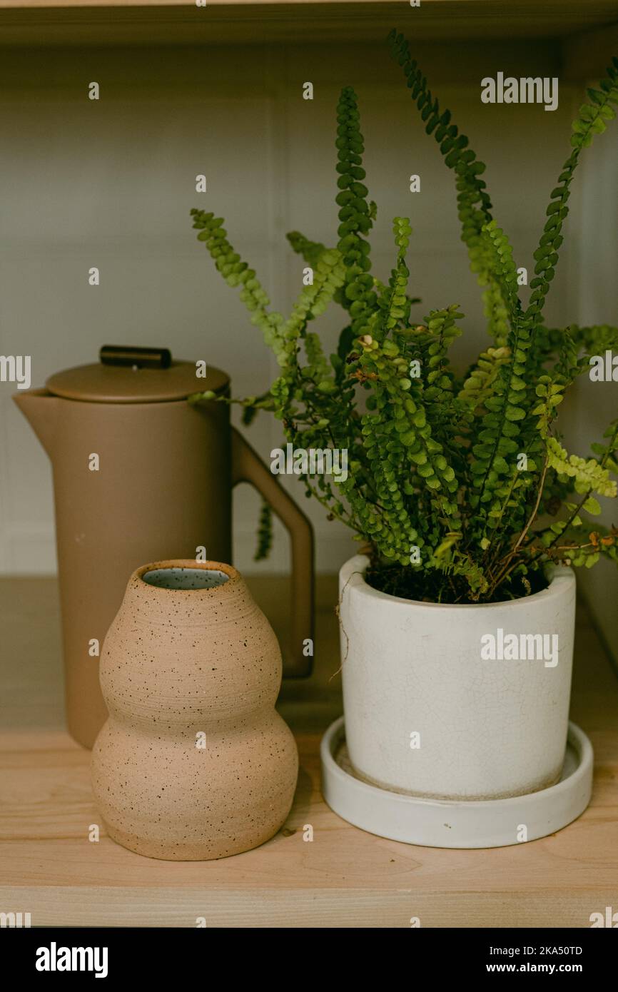 Nahaufnahme des Regals mit Pflanzen und Vasen Stockfoto