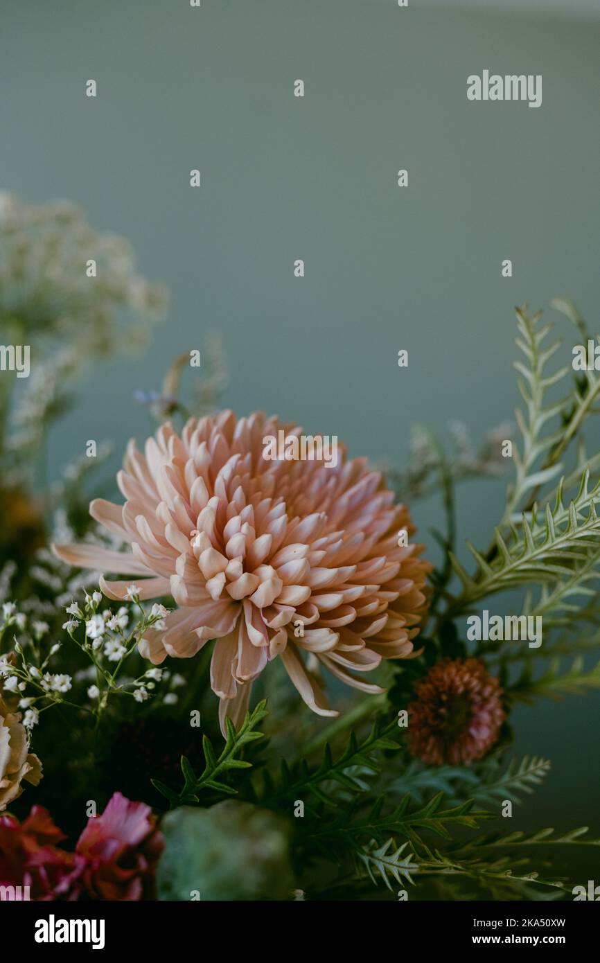 Nahaufnahme von Blumenarrangements mit minzgrünen Hintergrund Stockfoto