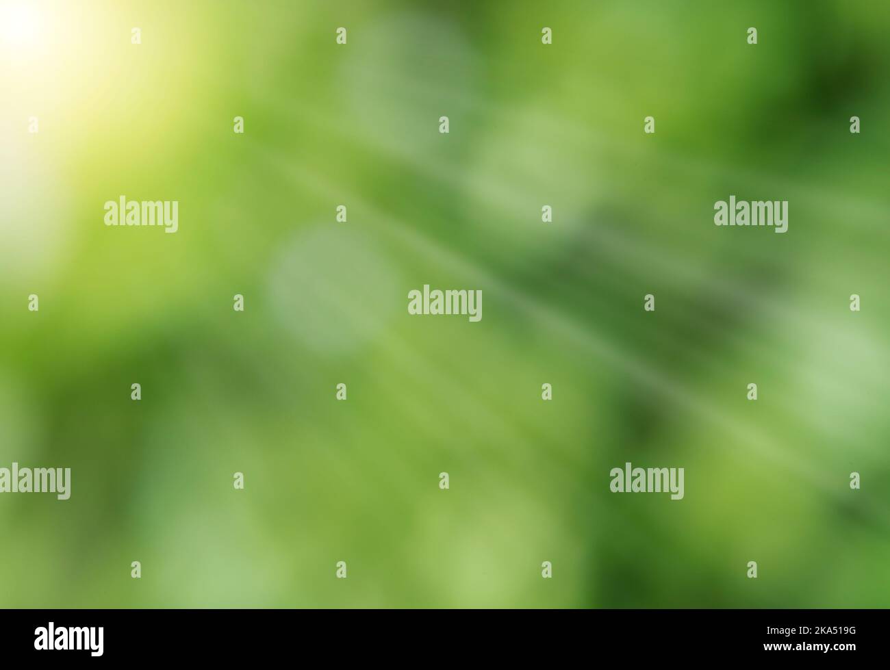 Nahaufnahme eines unfokussierten Fotos von Sonnenstrahlen oder Lichtstrahl mit gebogenem und naturgetragenem Hintergrund. Stockfoto