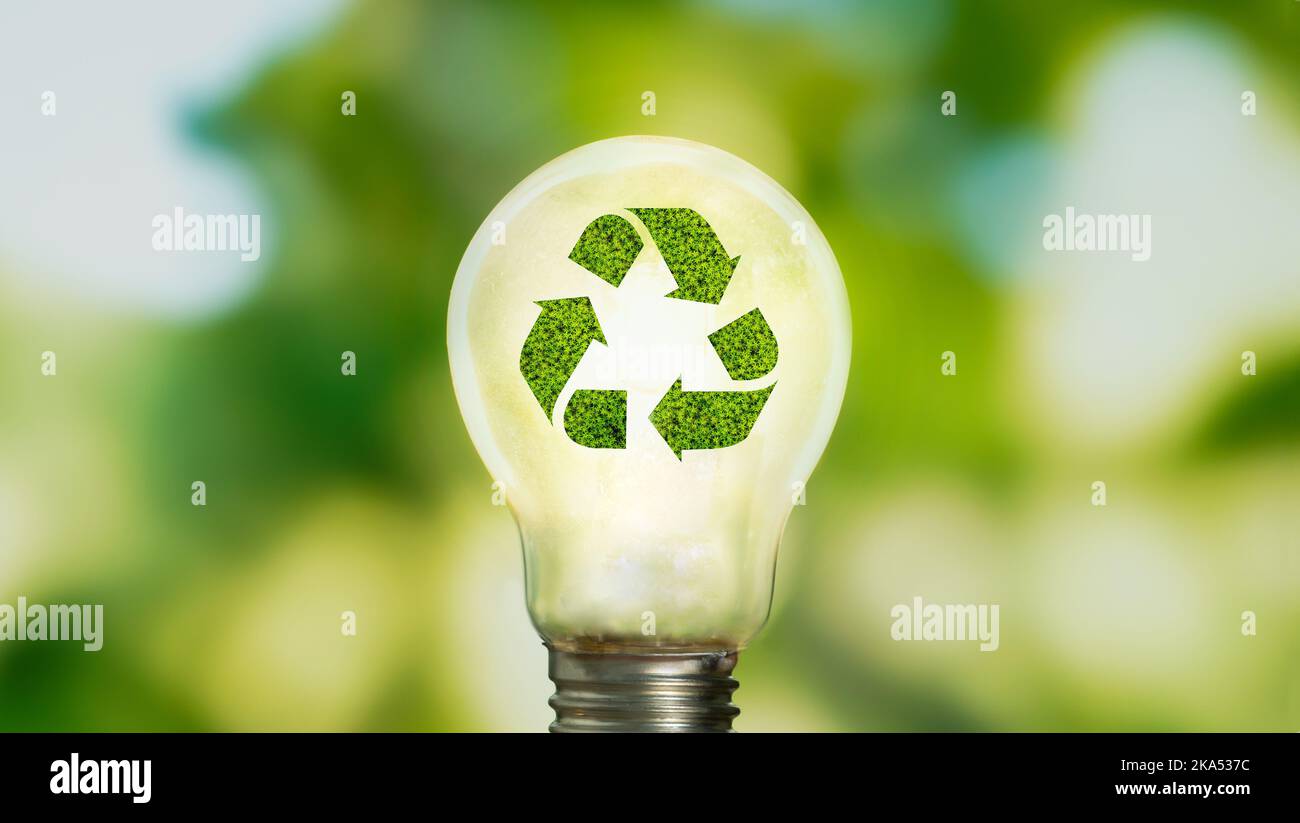 Nahaufnahme der leuchtenden Glühbirne mit Naturhintergrund als Symbol für die Reduzierung des Energieverbrauchs. Konzept der Rettung oder Schutz des Planeten oder der Welt. Stockfoto