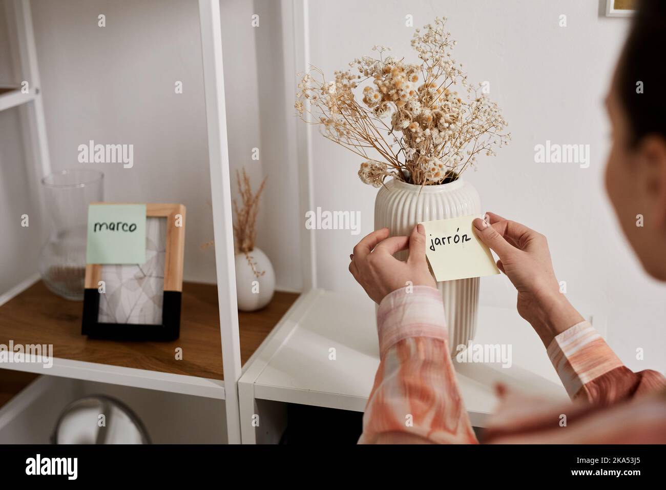 Selektiver Fokus auf Hände von jungen Frauen, die Notizpapier mit neuem spanischen Wort auf weiße Vase mit getrockneten Blumen auf dem Regal kleben Stockfoto