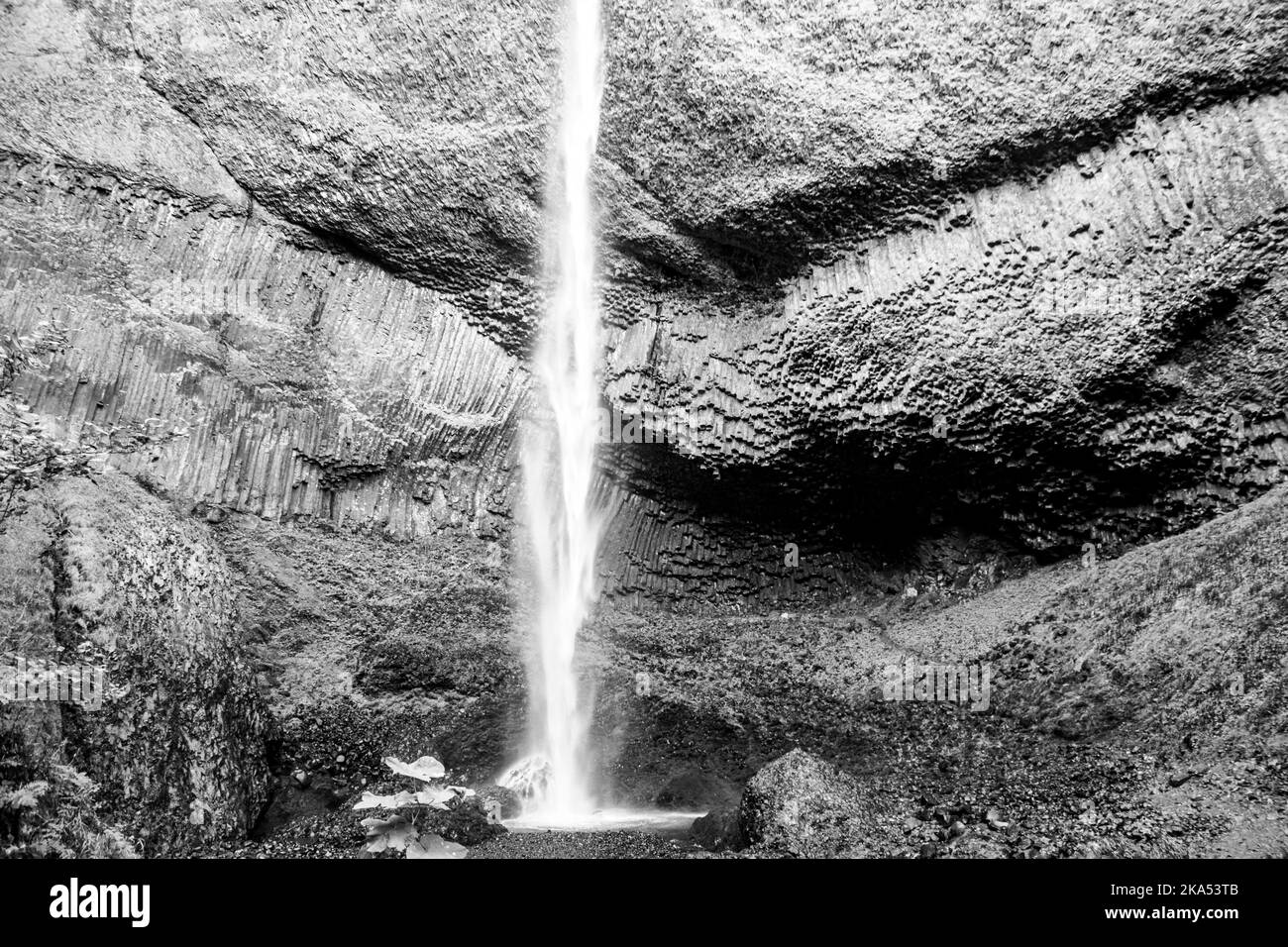 Latourell Wasserfall in Oregon, mit grauer strukturierter Felswand und Moos, die am Ende des Wasserfalls wachsen. Stockfoto