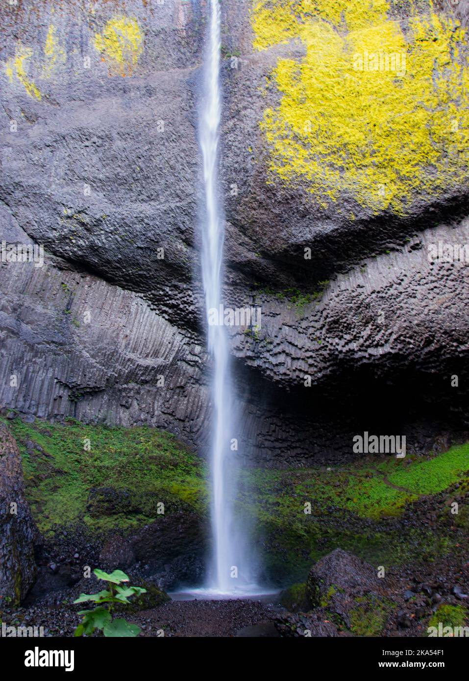 Latourell Wasserfall in Oregon, mit grauer strukturierter Felswand und Moos, die am Ende des Wasserfalls wachsen. Stockfoto