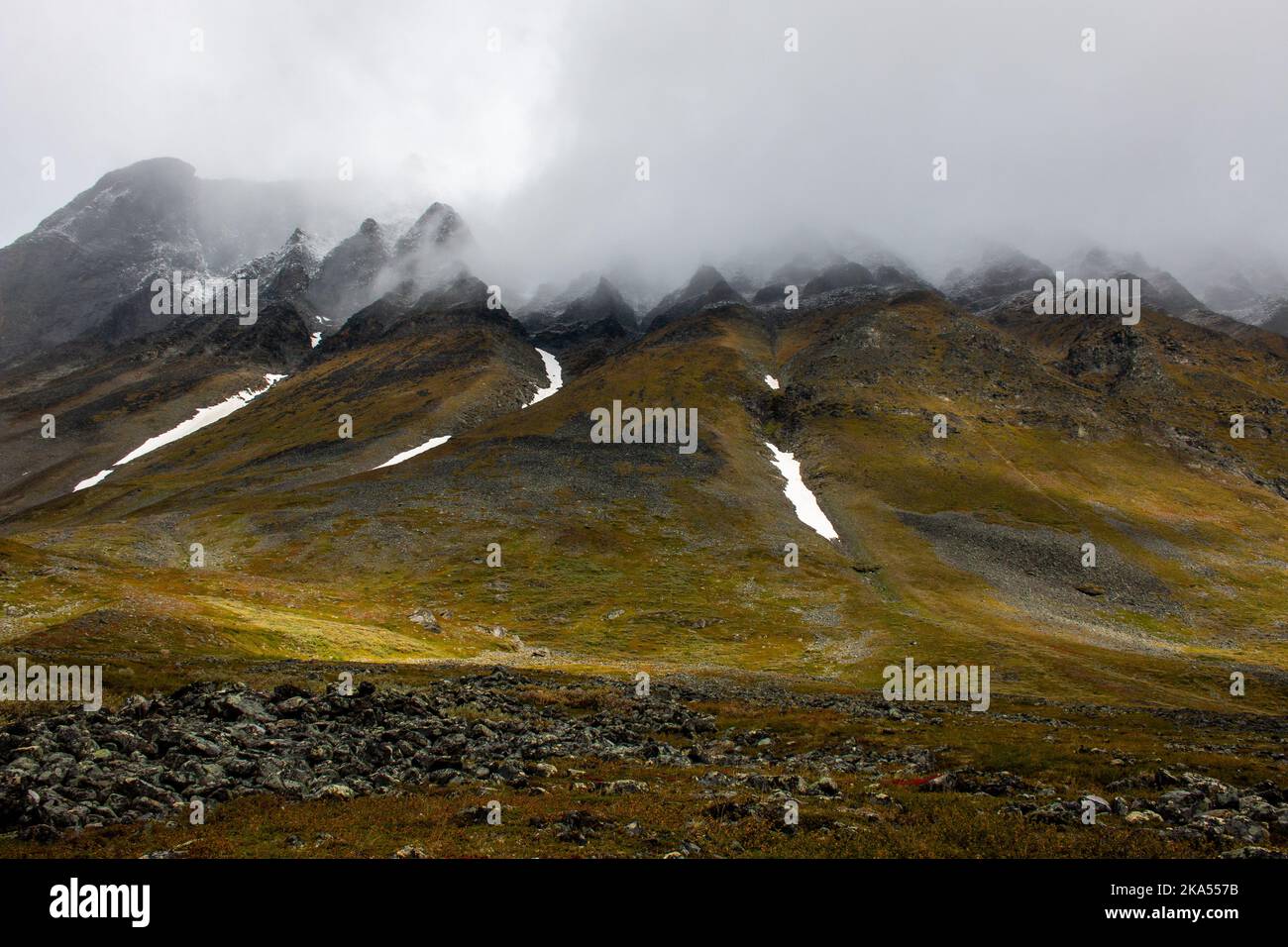 Ein stacheliger Berghang, der in einer Wolke in der Nähe des Wanderweges zwischen Vistas und Nallo-Hütten, Lappland, Schweden, gefangen ist Stockfoto