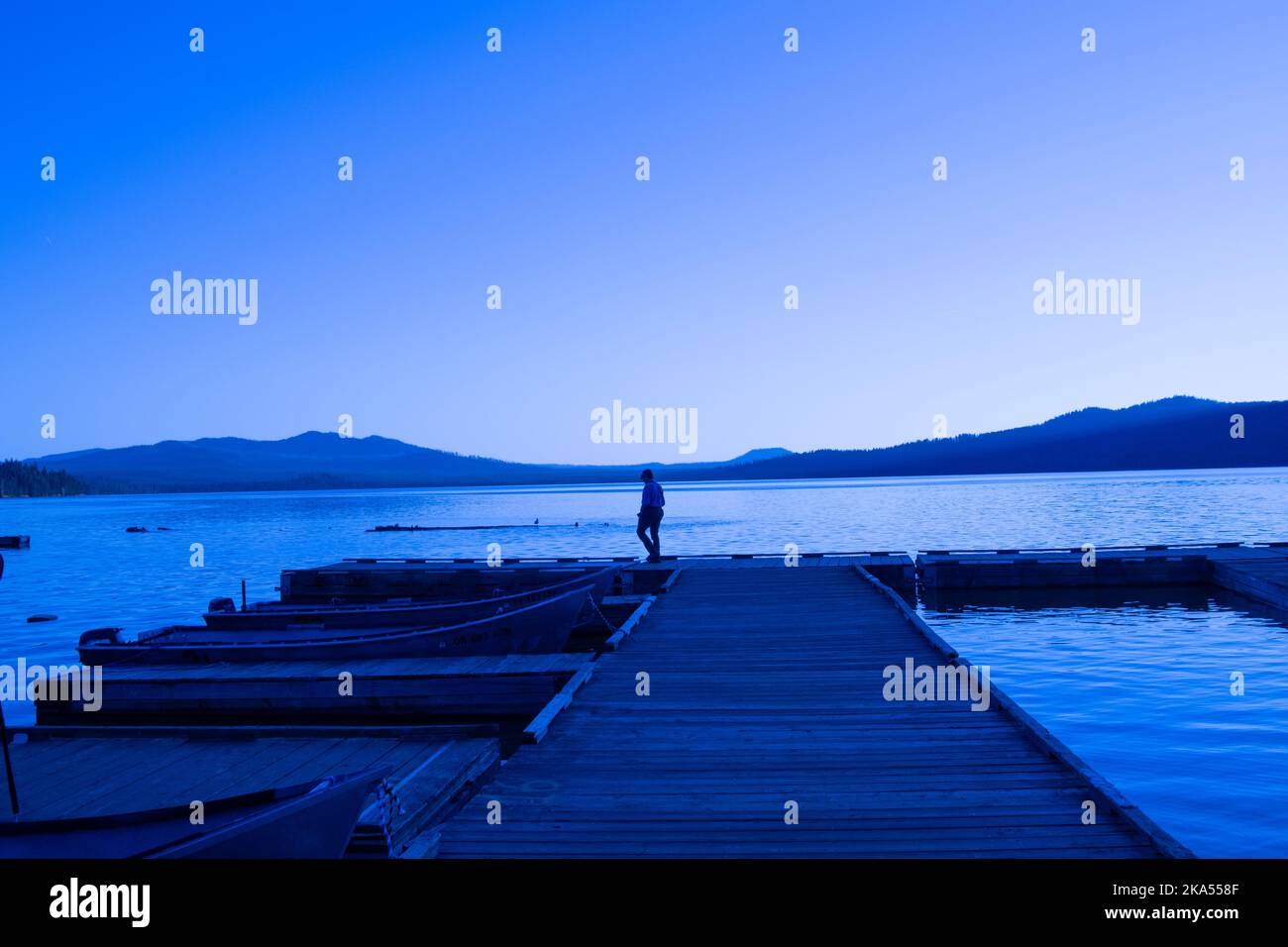 Eine Einzelperson, die auf einem hölzernen Bootssteg steht, mit Landschaft in blauem Licht. Stockfoto