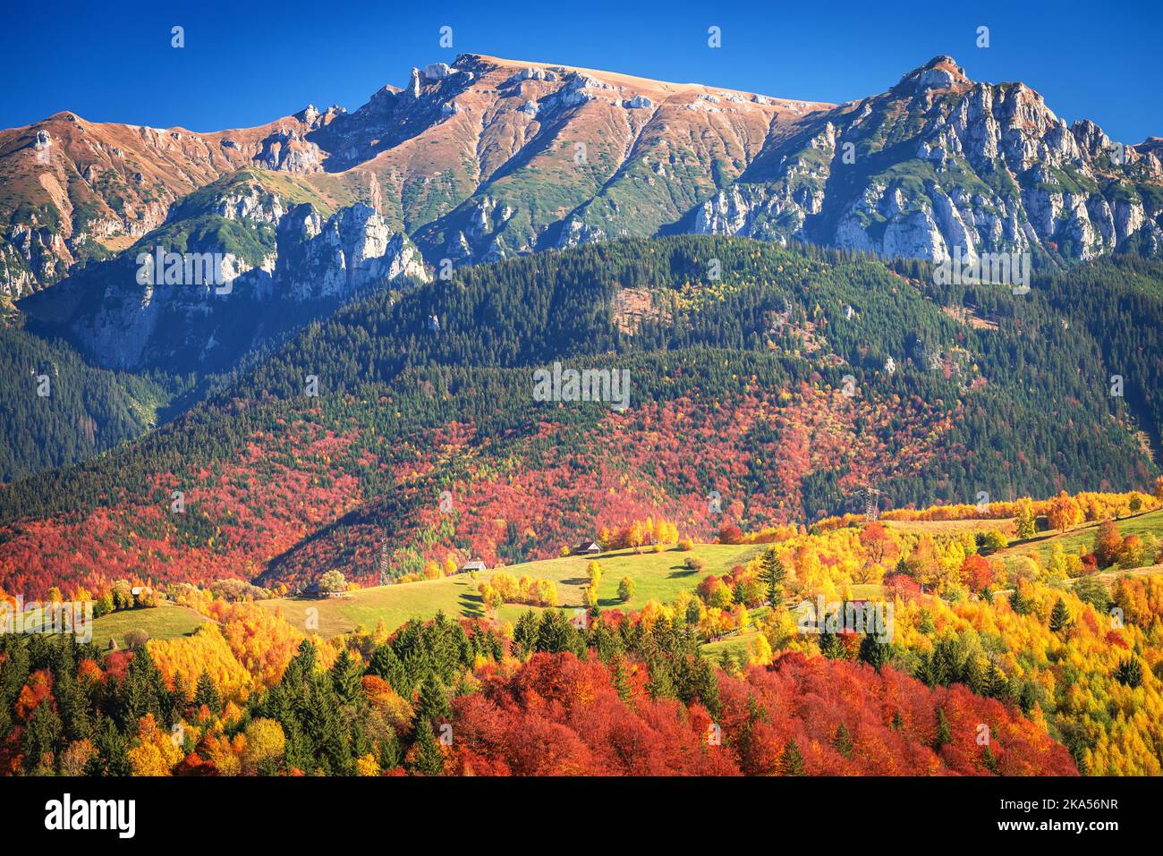 Bucegi, Karpaten - Rumänien. Schöne Herbstfarben malerische Landschaft in Rucar-Bran touristischen rumänischen Wahrzeichen. Stockfoto