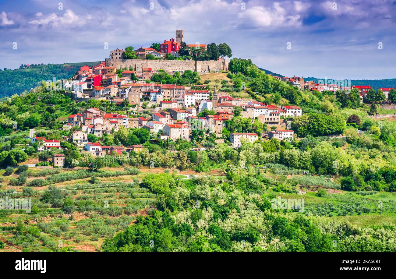 Motovun, Kroatien. Malerische historische Stadt Motovun auf idyllischen grünen Hügel, Reiseziel im Landesinneren Istrien Region von Kroatien. Stockfoto