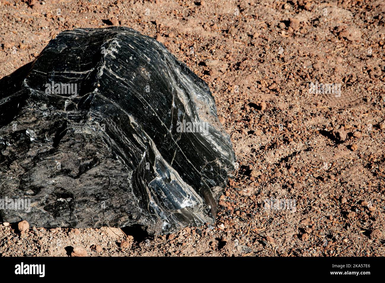 Ein großer Felsbrocken aus Obsidian, der in Oregon, USA, auf dem Boden ruht. Stockfoto