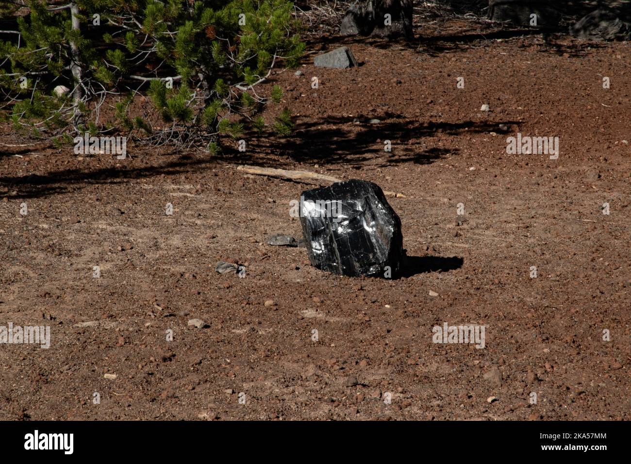 Ein großer Felsbrocken aus Obsidian, der in Oregon, USA, auf dem Boden ruht. Stockfoto