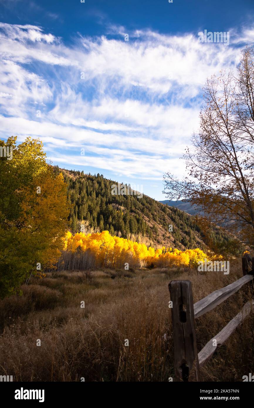 Fall in Colorado liefert unbeschreibliche Momente, die nur mit einem Kameraobjektiv erklärt werden können. Dieses Foto soll inspirieren, motivieren und entspannen. Stockfoto