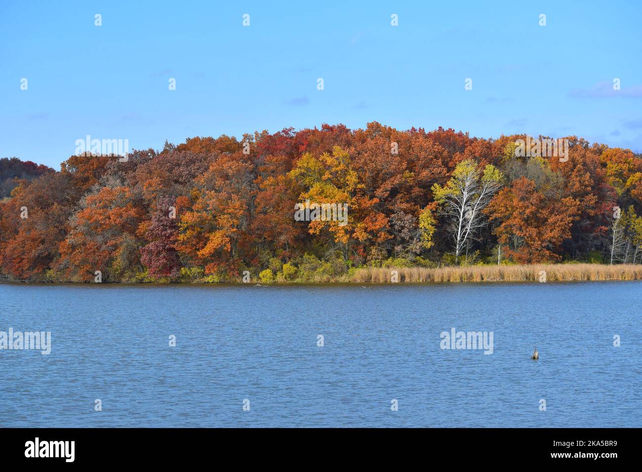 Herbstfarben im Südwesten von Wisconsin Stockfoto