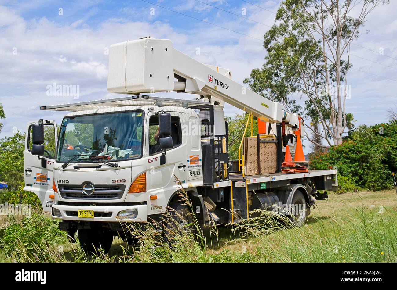 Ein Terex-Kirschenpflücker, der auf einem LKW der Hino 500-Serie montiert ist und zum Abräumen von Stromleitungen von Ästen verwendet wird. Stockfoto