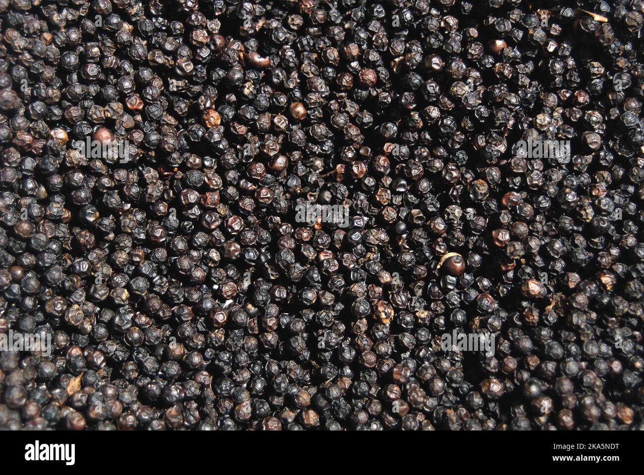 Schwarze Pfefferkörner als Hintergrund-Nahaufnahme, Sri lanka Stockfoto