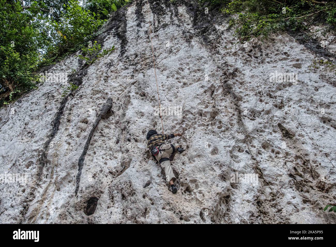 Kendari, Indonesien. 30. Oktober 2022. Ein Besucher versucht auf einer Klettertour in Konawe eine Karstklippe zu erklimmen. Sawapudo Cliff, das Karstfelsen mit einer Höhe von etwa 20 Metern hat, wird von vielen Touristen und Naturliebhabern als Klettergebiet besucht. Kredit: SOPA Images Limited/Alamy Live Nachrichten Stockfoto