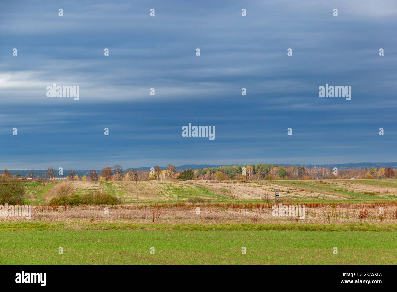 Ländliche Landschaft bei bewölktem, herbstlichem Wetter. Felder und Wälder. Spätherbst. Europa. Stockfoto