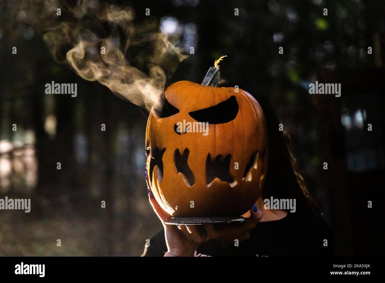 Halloween-Kürbis glüht in einem dunklen Herbstwald Stockfoto