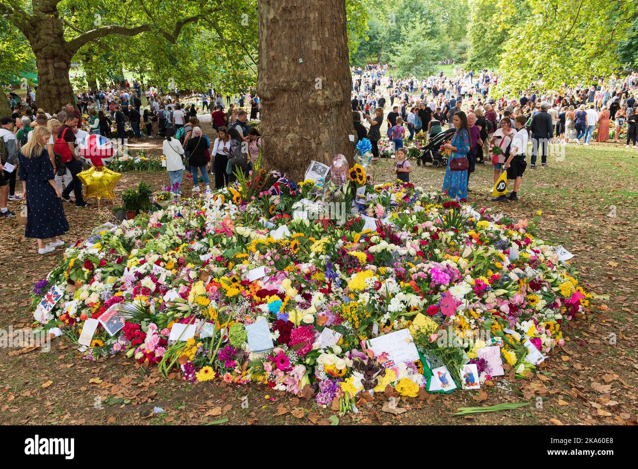 Menschen, die die Blumen-Tribute im Green Park betrachten, die von Trauernden zum Anlass des Todes von Königin Elizabeth II. Hinterlassen wurden. Green Park, London, Großbritannien. 11. September 2022 Stockfoto